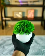 Artificial Potted Plant NO.2 - Image 2